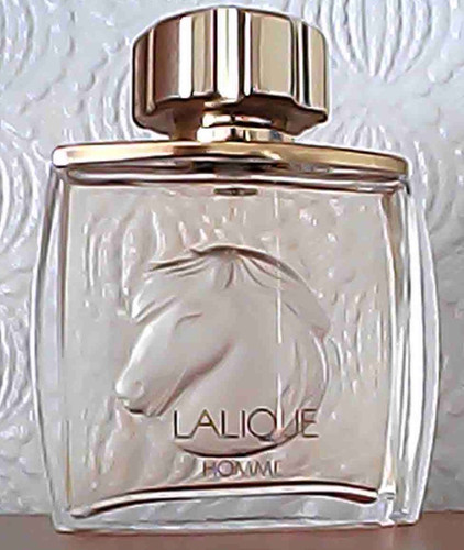 Lalique equus pour homme - equus,